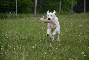 image-4047