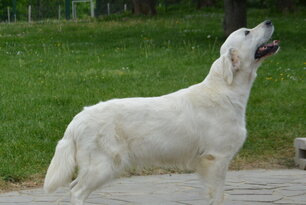 image-4057