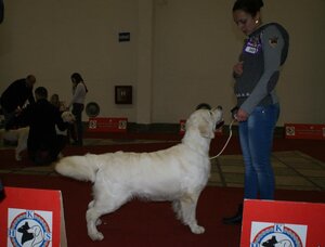 image-137
