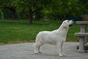 image-4060