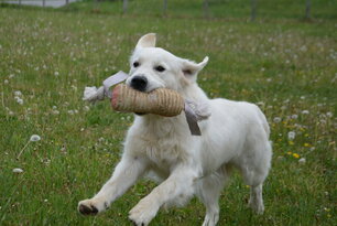 image-4048