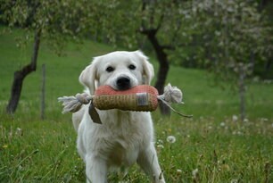 image-4056