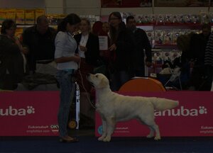 image-140