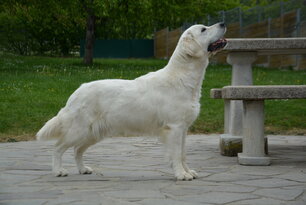 image-4061
