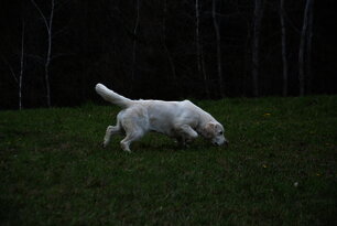 image-3532
