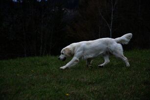 image-3533