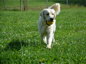image-440