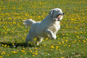 image-4076