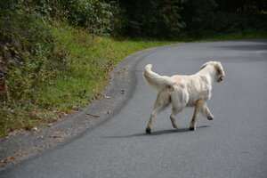image-419