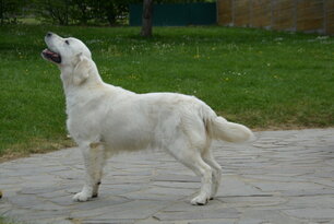 image-4063