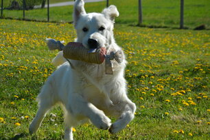 image-4078