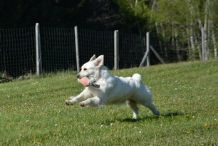 image-4037