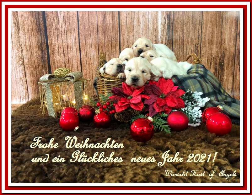 GR_20_xmas
