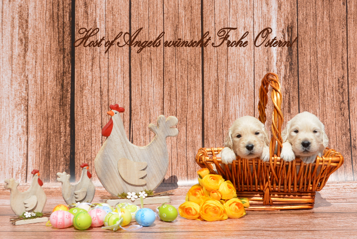 frohe_ostern_