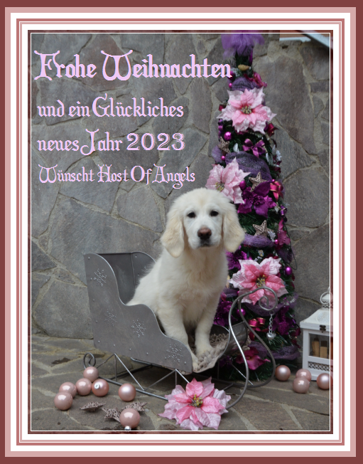 frohe_w22