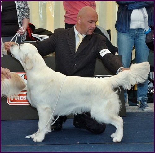image-52