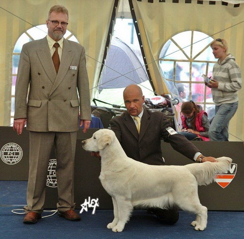 image-53