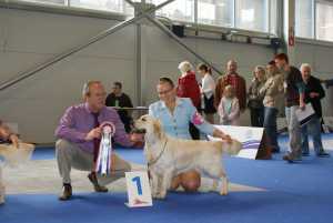 image-51