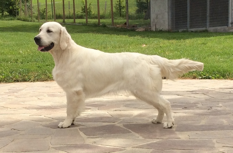 image-49