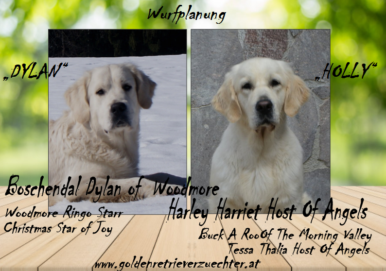 dylan_und_holly_1