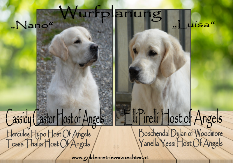luisa_und_nano